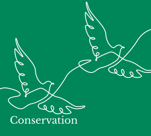 Conservation illustration of birds