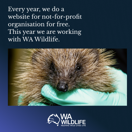 Photo that reads: Every year, we do a website for not for profit organisations for free. This year, we are working with WA Wildlife.