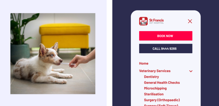 St. Francis vet hospital website