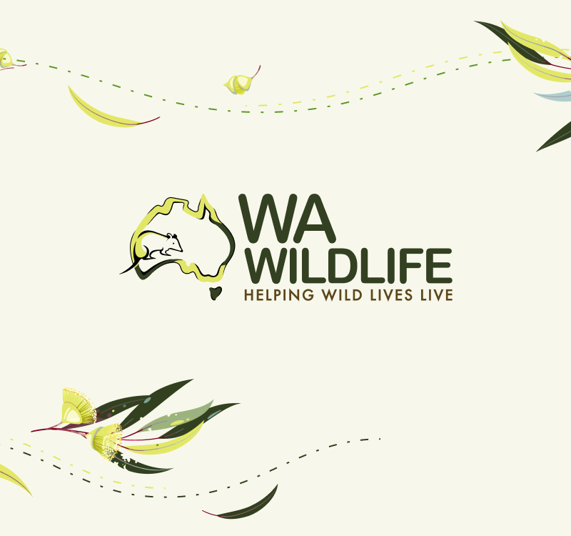 WA Wildlife Image